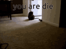You Are Die GIF