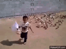 Birds Attack GIF - Attack Birds Run GIFs