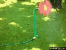 Flower Water Sprinkler Water Hose Flopping Around GIF