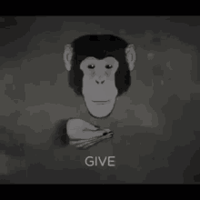 Monkey Aga GIF - Monkey Aga Give GIFs
