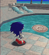 sonic the hedgehog is standing in front of a pool