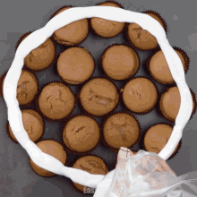 a bunch of cupcakes are sitting on a table and the word easy is on the bottom
