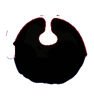 a black circle with a red border is against a white background