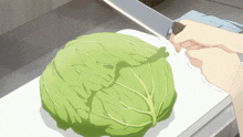 a person is cutting a cabbage on a cutting board with a knife