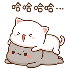 Cute Cat Sticker - Cute Cat Laughing Stickers
