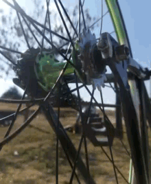 Cycling Bicycle GIF