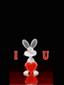 I Love You Rabbit GIF