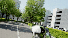 a person is riding a bike down a street with trees on both sides