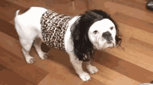 Cavedog GIF - Caveman Dog Costume GIFs