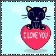 I Love You Cat GIF - I Love You Cat Bounce GIFs