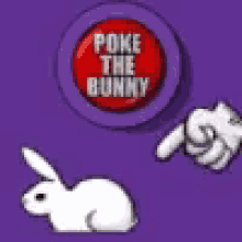 Rabbit Bunny GIF - Rabbit Bunny Poke GIFs