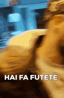 Fafutete GIF - Fafutete GIFs