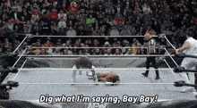 Aew The Righteous GIF - Aew The Righteous Vincent GIFs