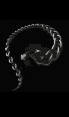 Black Snake GIF - Black Snake Heads GIFs