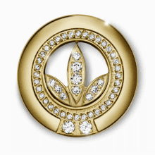 Herbalife Nutrition Recognitionpin GIF - Herbalife Nutrition Herbalife Recognitionpin GIFs