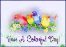Colorful Day GIF - Colorful Day Week GIFs