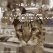 Flbbi Sebcord GIF - Flbbi Sebcord Bandcamp GIFs