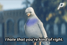 You'Re Right Pigeons GIF - You'Re Right Pigeons Pgr Pigeons GIFs