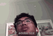 rice adobo cringebaby 123iloverice