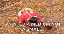 a child is laying on the ground with leaves and a caption that says `` i wanted a medium not a small ''