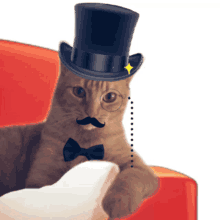 Monsieur Cat GIF