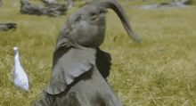 Elephant Limp GIF - Elephant Limp Playful GIFs