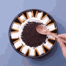 a person is using a wooden spoon to spread oreo crumbs on top of a cake