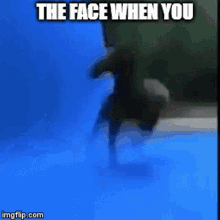 The Face When You Horse GIF