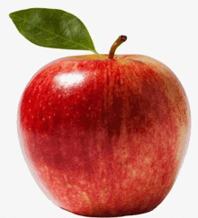 a red apple with a green leaf on it .