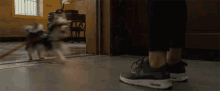 Happy Excited GIF - Happy Excited Excited To See You GIFs