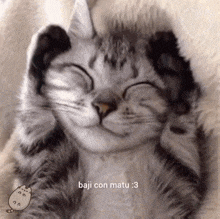 a cat is sleeping on a blanket with its eyes closed and a caption that says baju con matu : 3 .