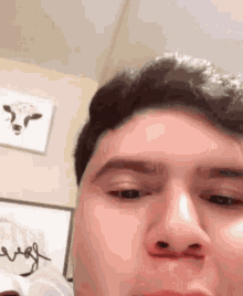 a close up of a man 's face with a cow painting on the wall behind him