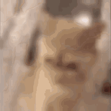 a blurry picture of a person walking down stairs in a house .