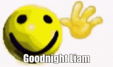 a yellow smiley face with a hand waving and the words `` goodnight liam '' written on it .