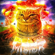 a picture of a cat with the word misfits behind it