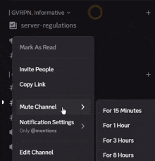 a screenshot of a computer screen showing the mute channel