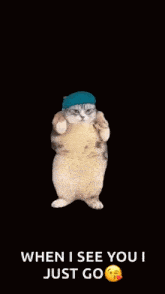 Fat Cat Dancing Cat GIF - Fat Cat Dancing Cat GIFs