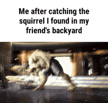 Catching The Squirrel My Friends Backyard GIF - Catching The Squirrel My Friends Backyard Me After Catching GIFs