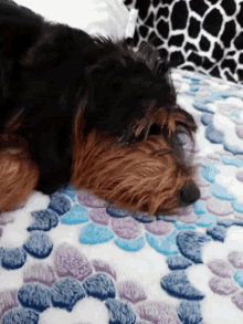 Sleep Puppy GIF - Sleep Puppy GIFs
