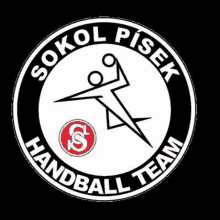 Handball Sports GIF - Handball Sports Sokolpisek GIFs