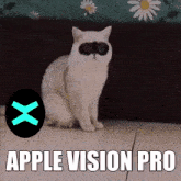 Apple Vision Pro Cat GIF - Apple Vision Pro Cat Gato GIFs