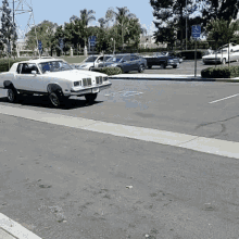 Bounce Low GIF - Bounce Low Rider GIFs