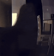a blurry picture of a cat 's face with a blue light behind it