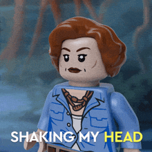 Lego Avatar GIF - Lego Avatar Shaking My Head GIFs