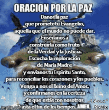 Oracion Paz GIF - Oracion Paz GIFs