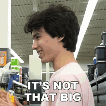 Its Not That Big Lofe GIF - Its Not That Big Lofe Its Small GIFs