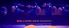 a welcome new dodos message is displayed on a screen