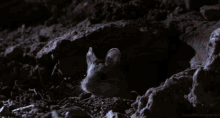 Mouse Screaming GIF - Mouse Screaming At GIFs