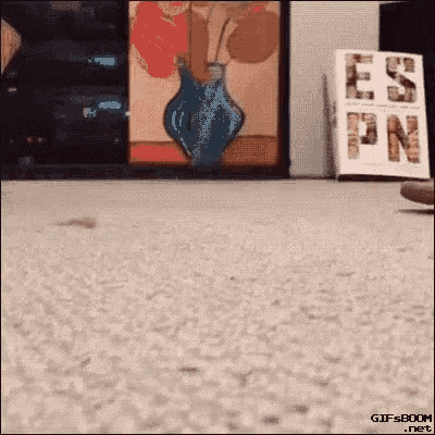 a gif from gifsboom.net shows a vase on a carpet