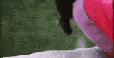 a person in pink pants is kneeling down next to a black dog .